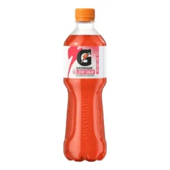 Gatorade Sport Drink 12-Pack Punch Fruit