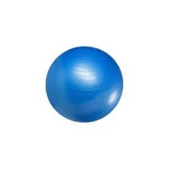 Master Fitness Gymboll