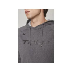 TRUE Hoodie Terry Graphic Sr Grey