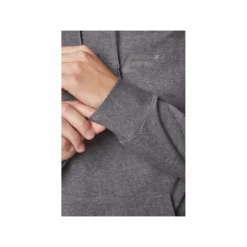 TRUE Hoodie Terry Graphic Sr Grey