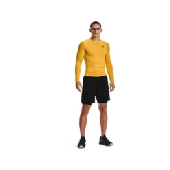 Under Armour Shorts HG Shorts Black